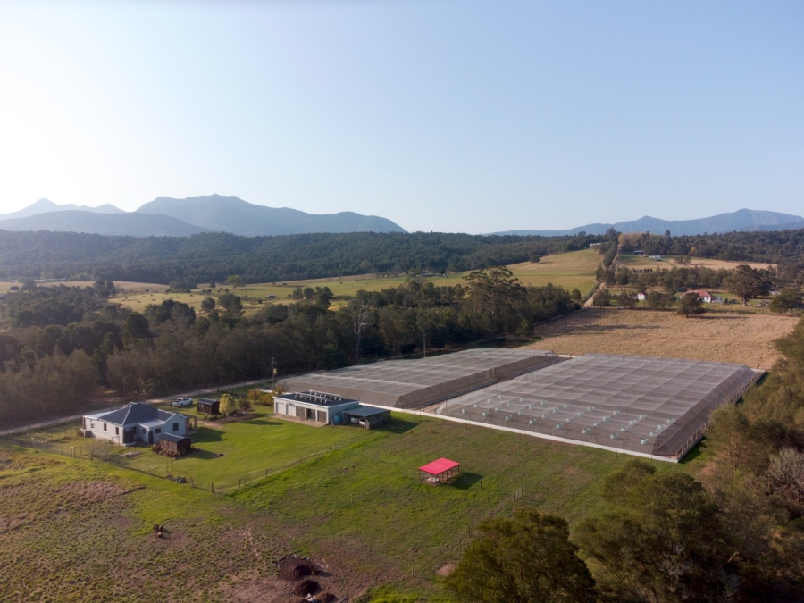 Commercial Property for Sale in Kraaibos Western Cape